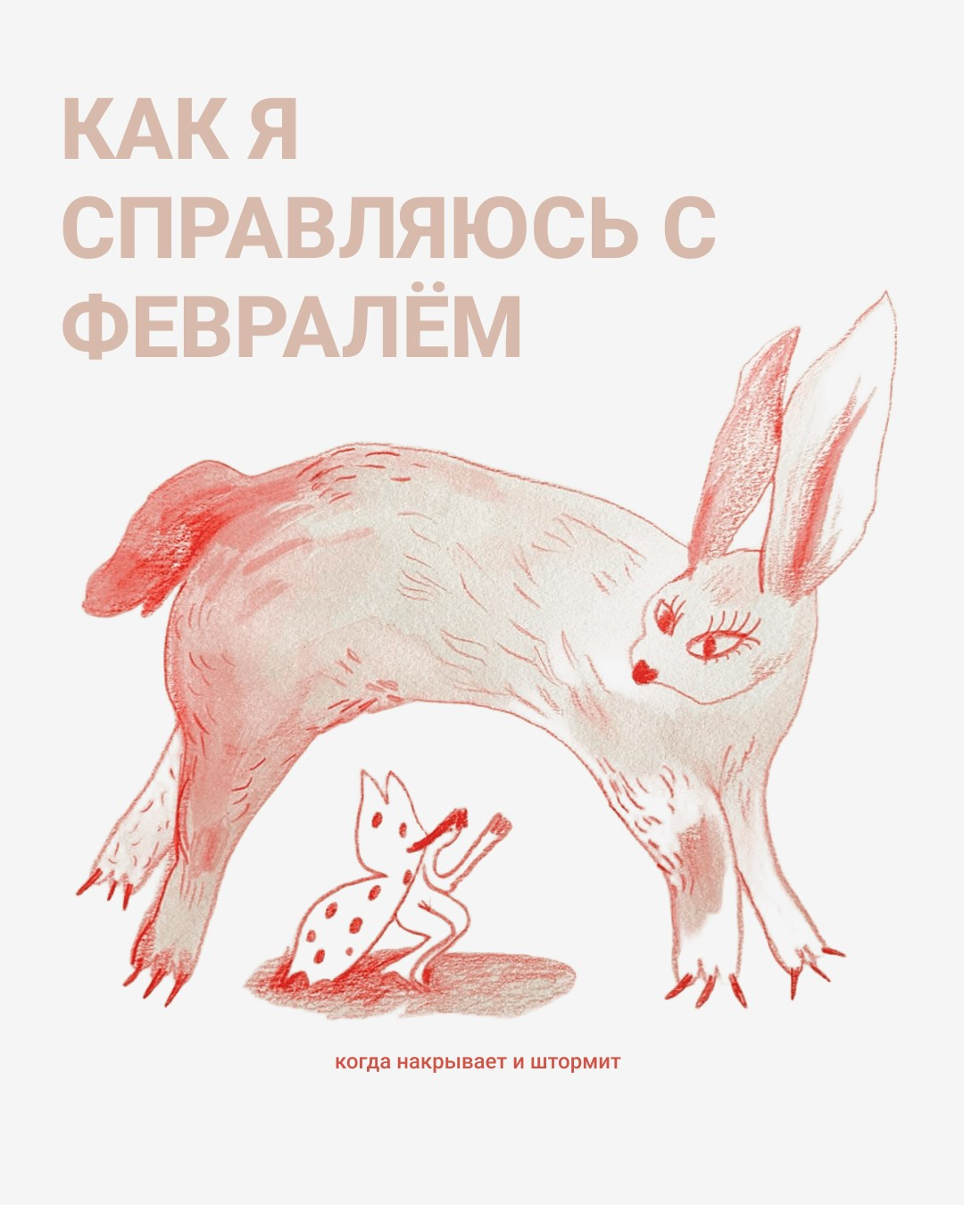 Portfolio. KST