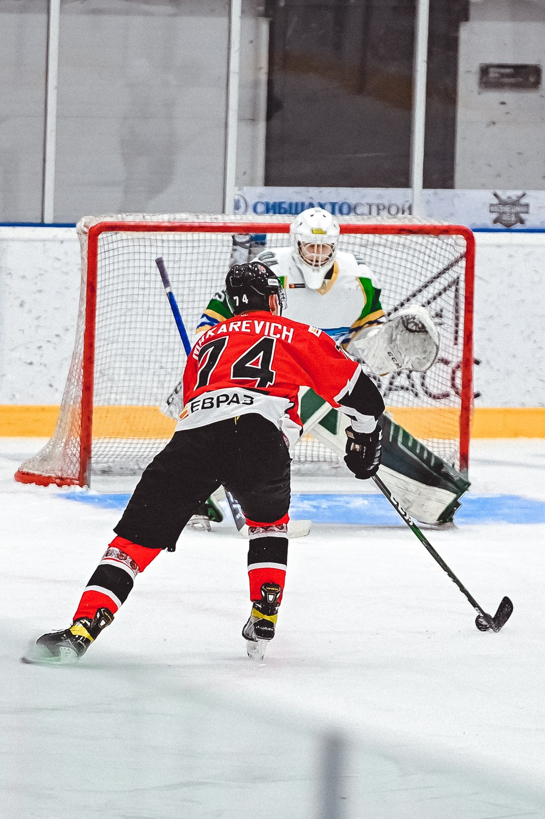 Медведи-Толпар. ProfotoNK