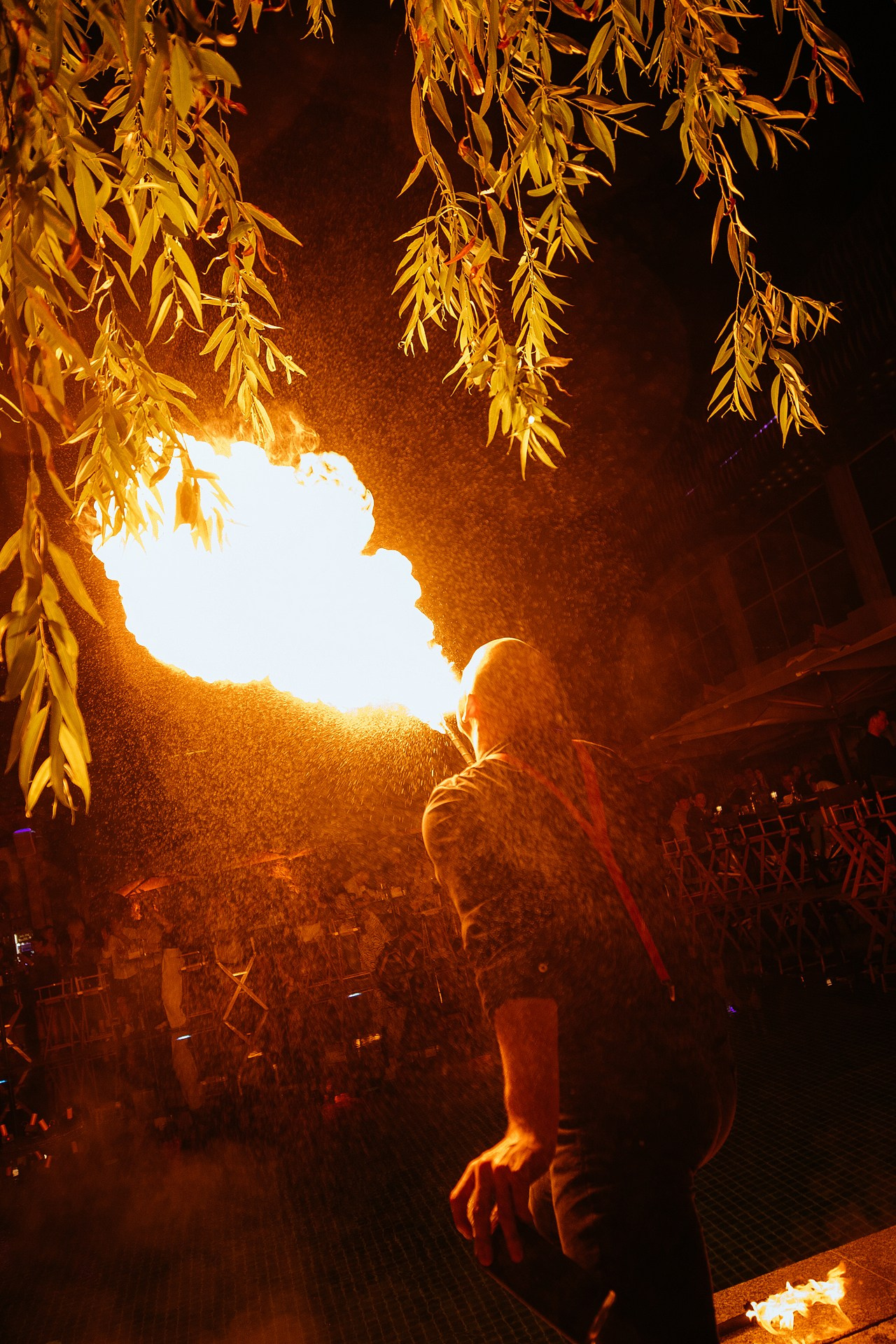 Ночные заведения