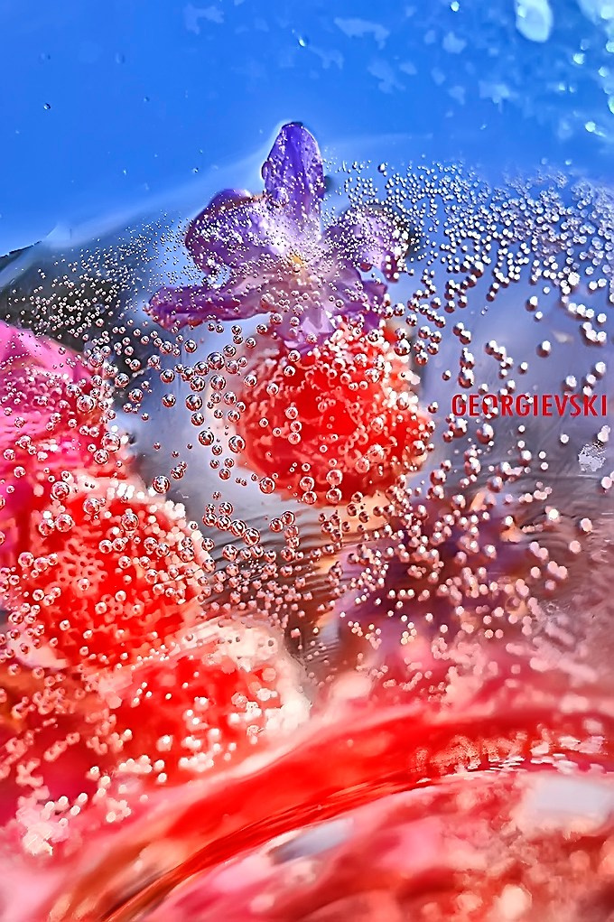 FINE ART. Denisgeorgievski