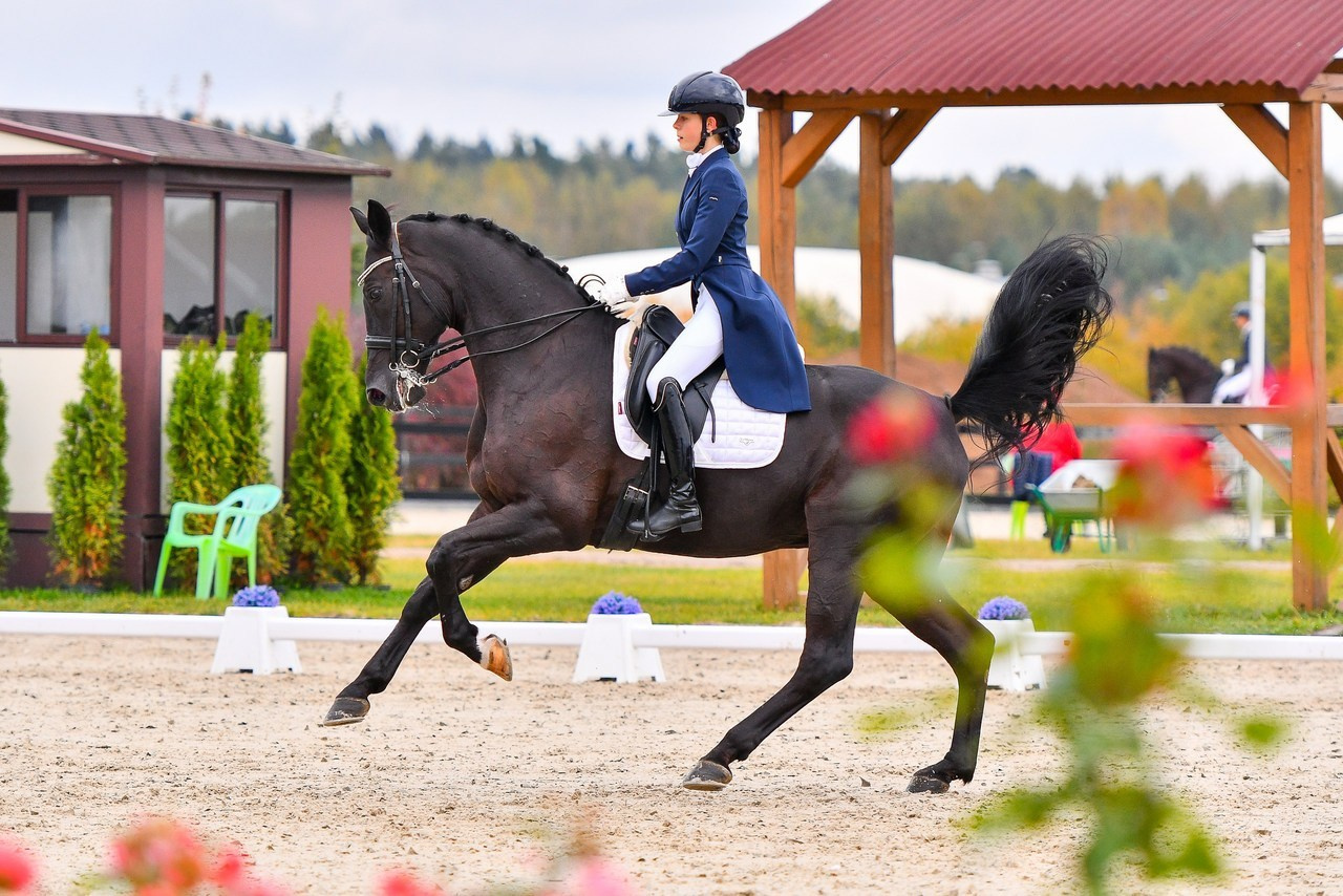 Отзывы. ТУРНИРНАЯ КОННАЯ ФОТОГРАФИЯ, Руднева Ольга и Евгений Адеев