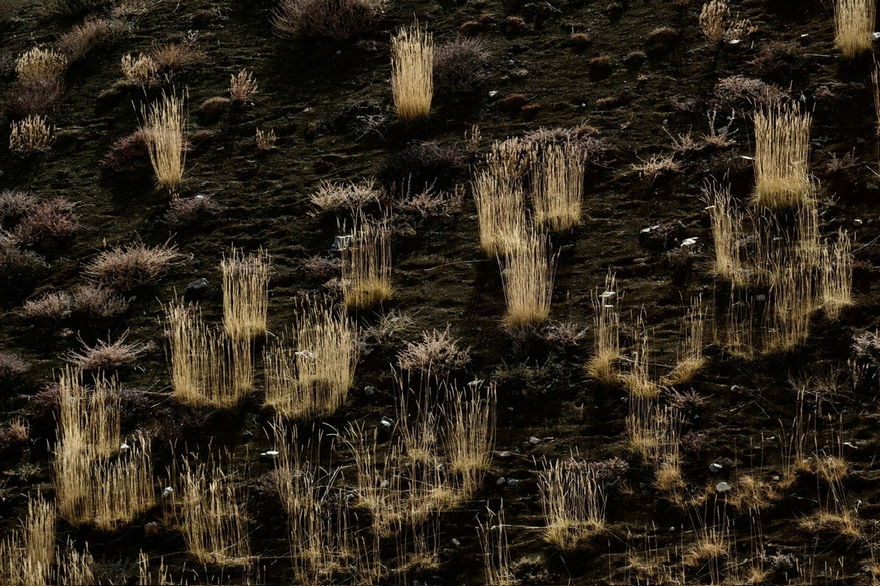 Алтай. Фотограф Евгений Андреев