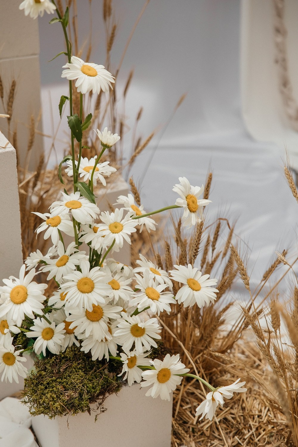 Привет! Я тебя очень ждал…. Свадебный фотограф Москва