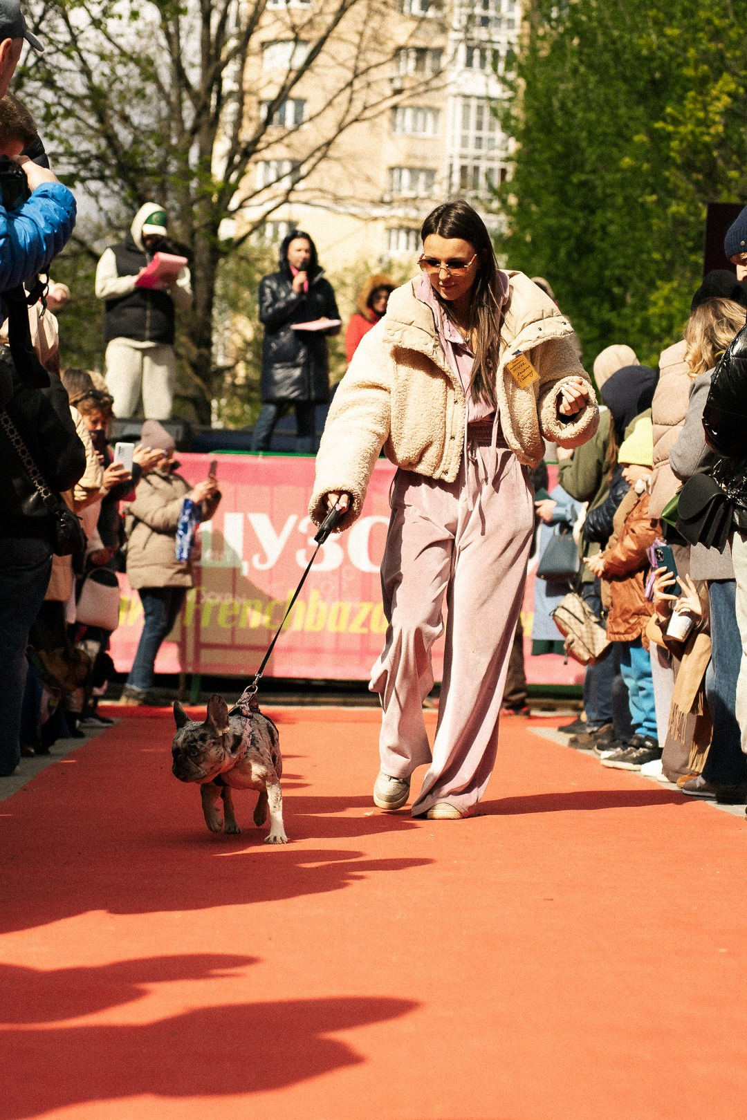 Парад Бульдогов. Axenov_eugene