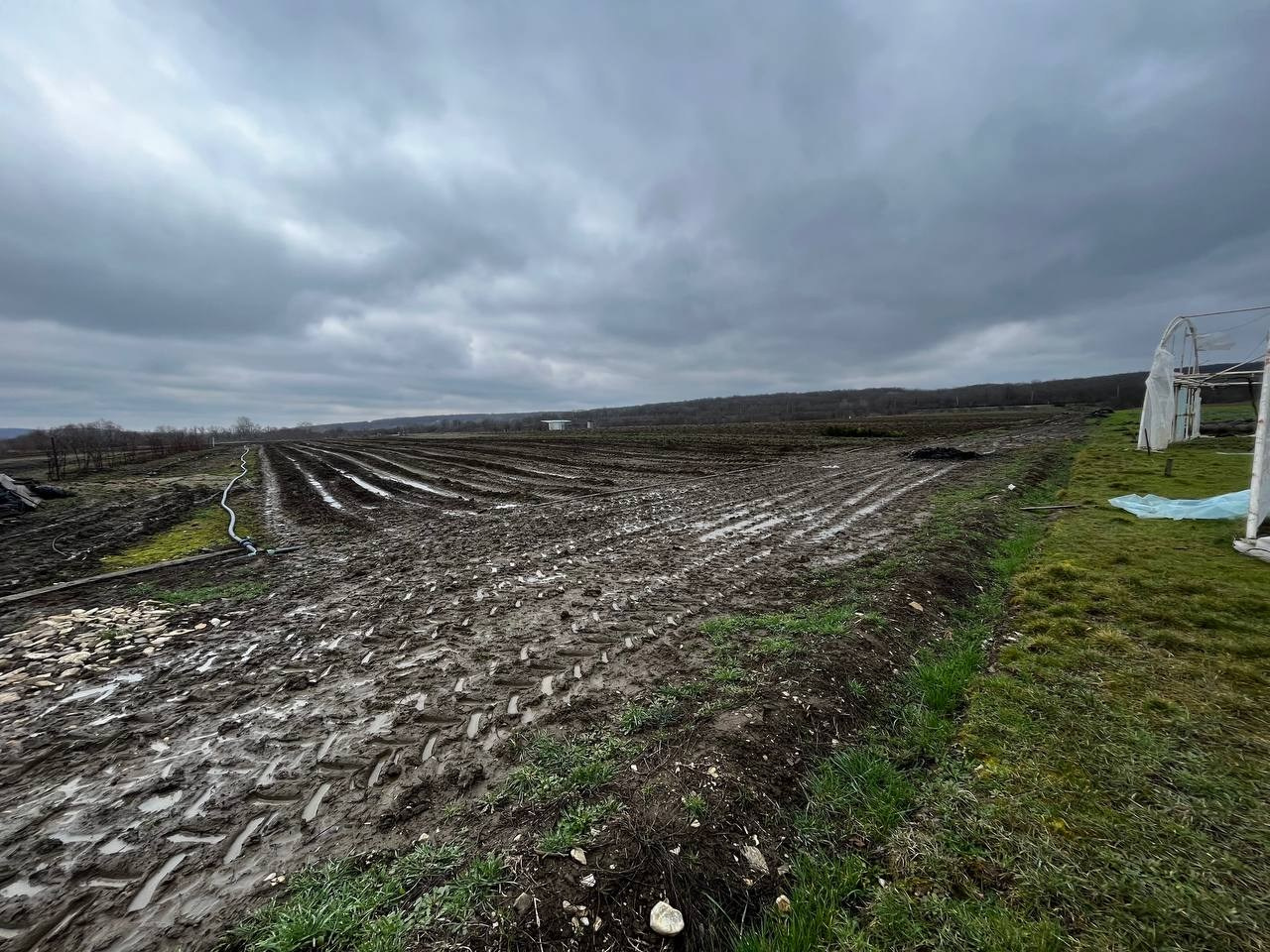 Агро Земельный массив Неберджаевская. Инвестиционный консалтинг Недвижимость