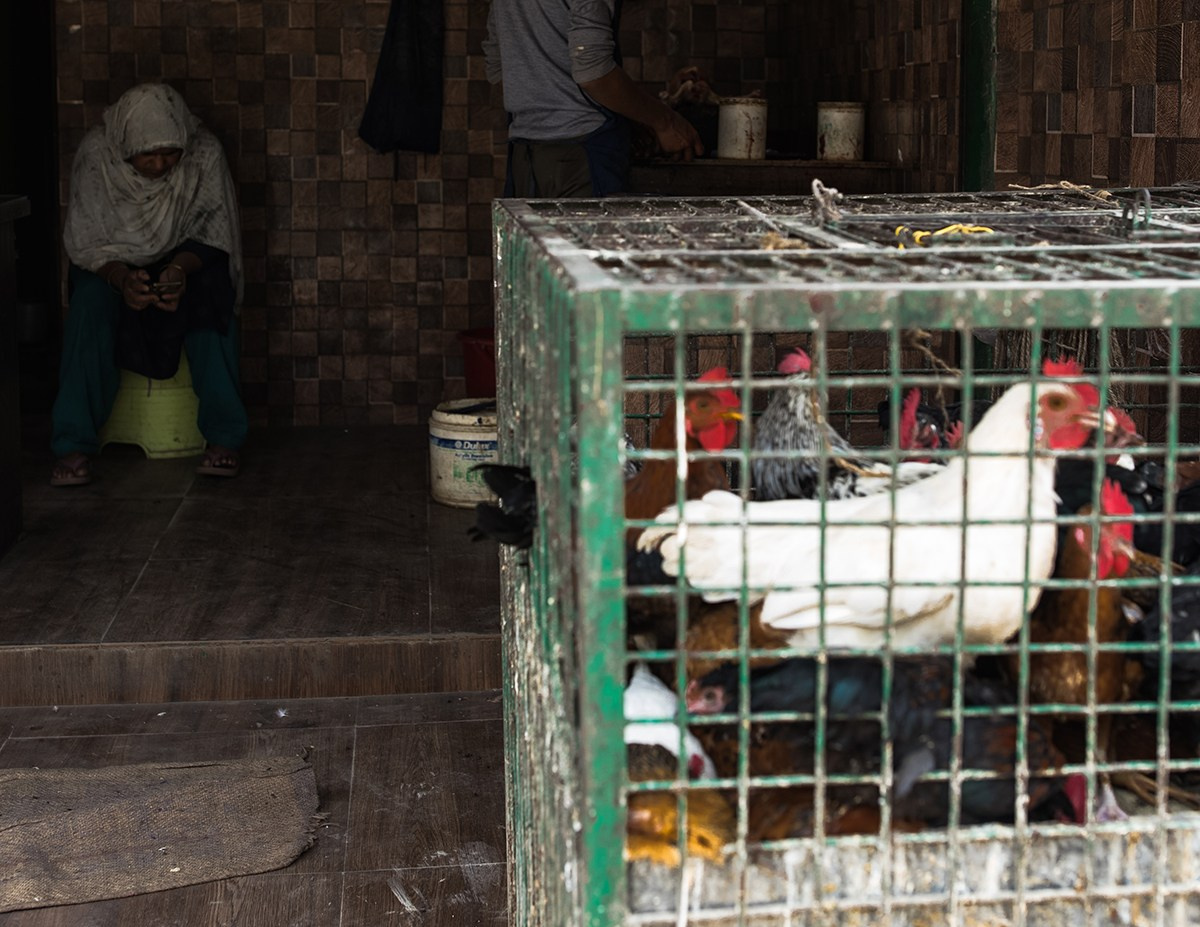 Blowup. Documentary and art photographer Alexey Terentyev