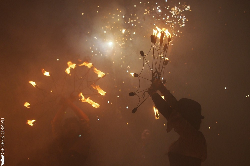 Фестиваль Дикая Мята. Репортажный и интерьерный фотограф Александра Солдатова