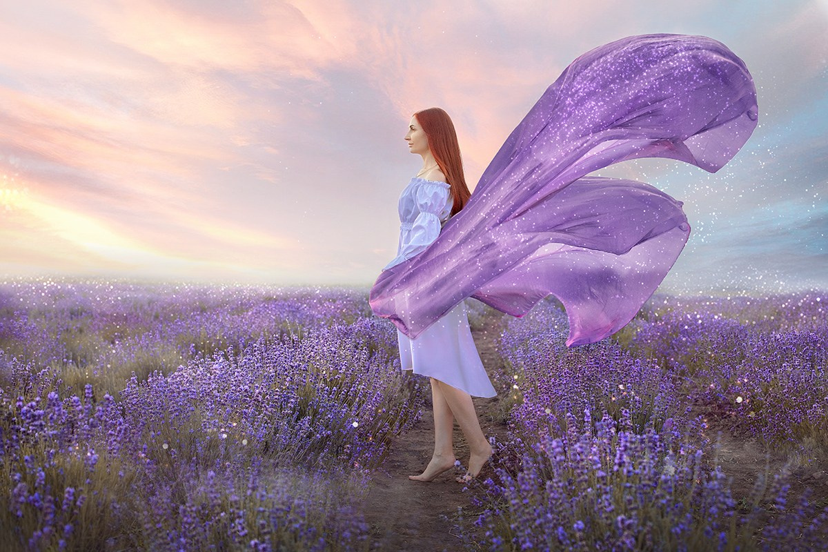 Лавандовые поля. Фотограф в Волгодонске Елена Орешкина