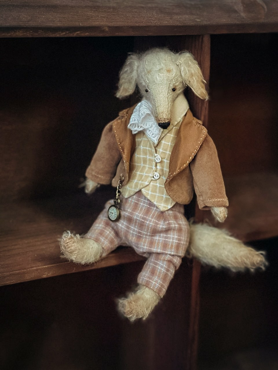 Тедди. Фотограф Ольга Сальманович