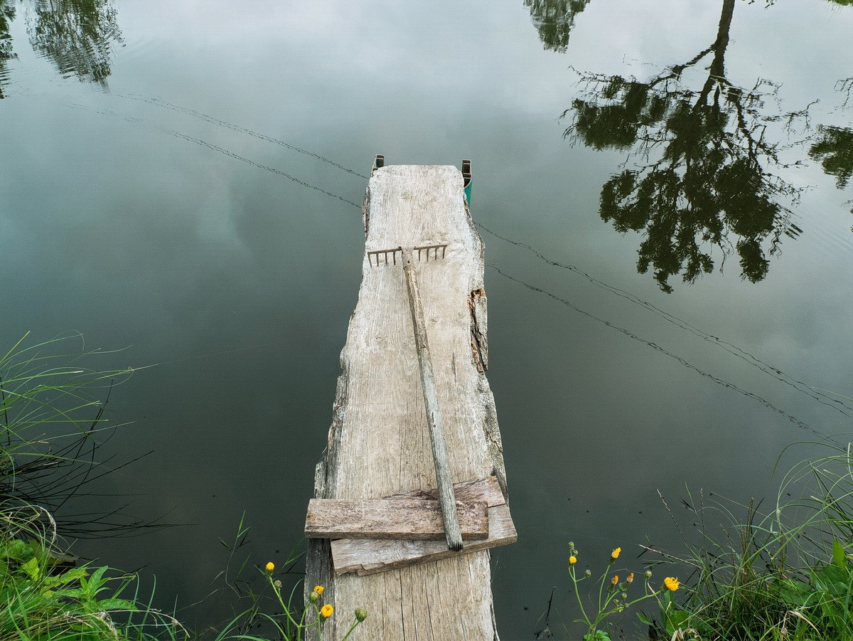 Found Walking. Abramovspace