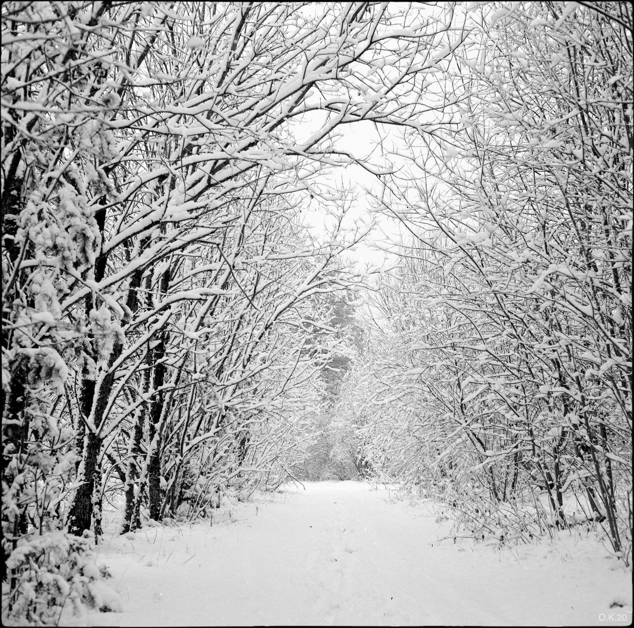 Citrinitas | Утренняя заря. Artkapella|Олег Кузнецов