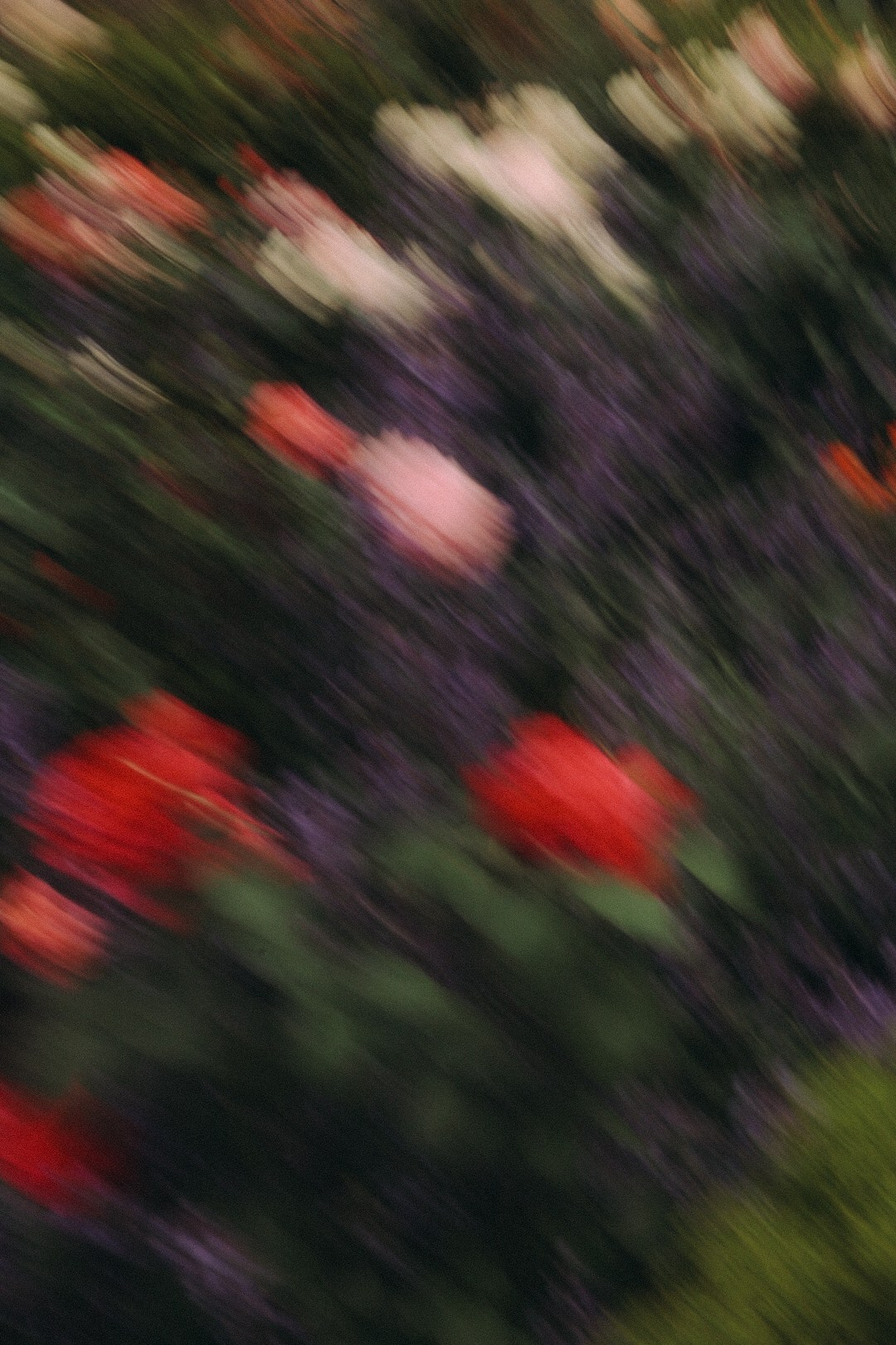 Никита и Маша. Фотограф Нижний Новгород