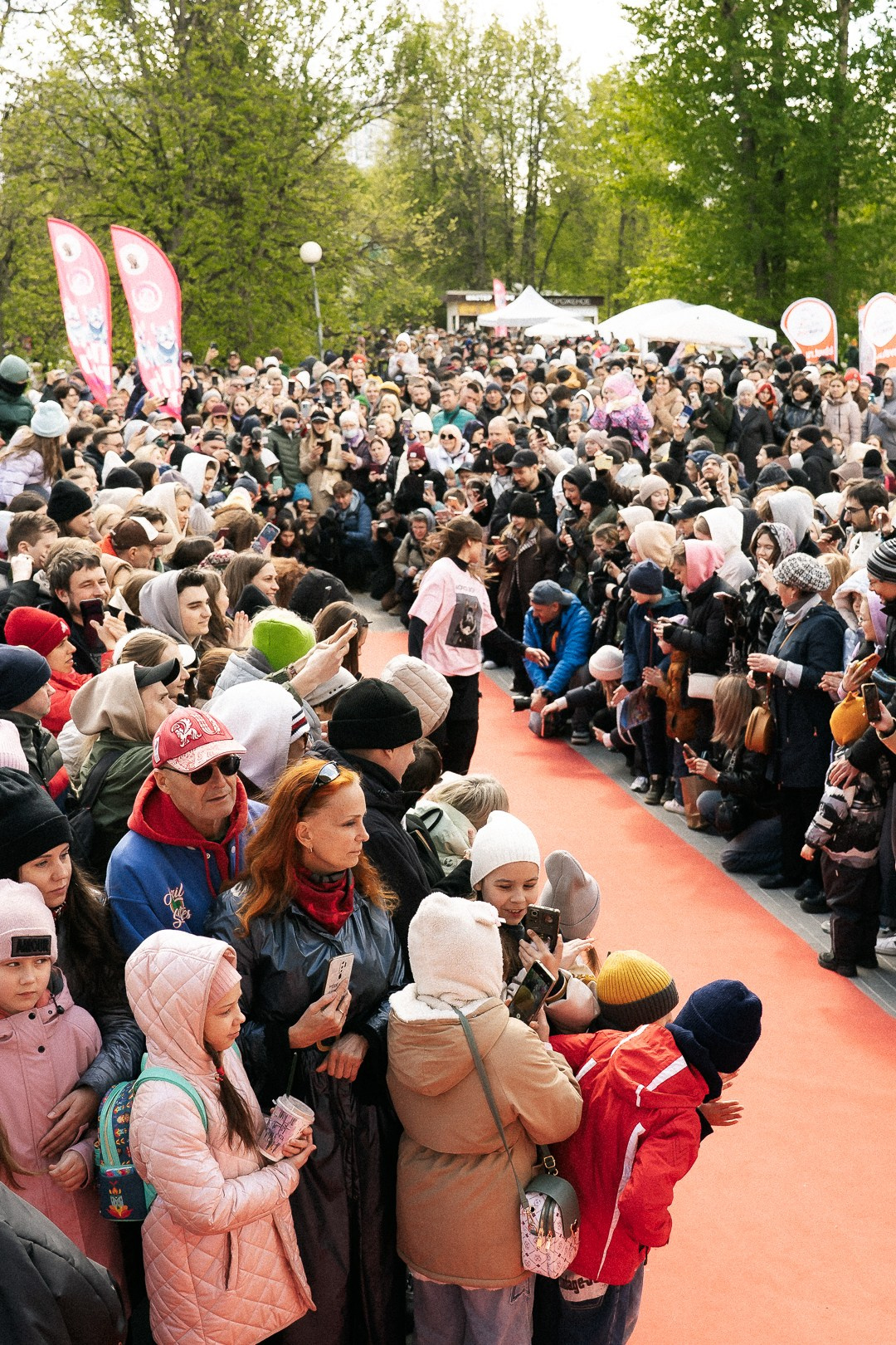 Парад Бульдогов. Axenov_eugene