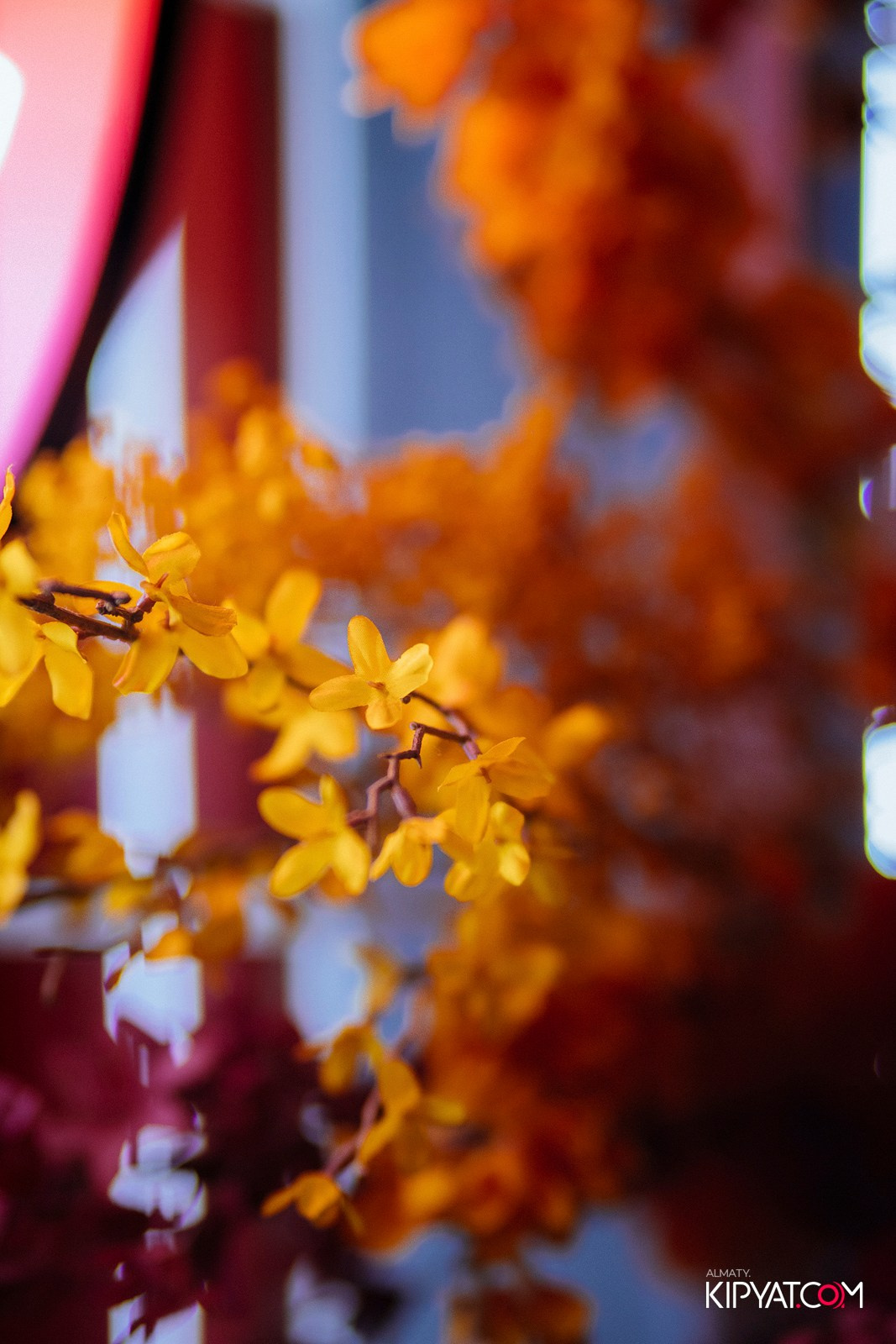 FRIENDS BAR & TERRACE. КИПЯТКОМ АЛМАТЫ!