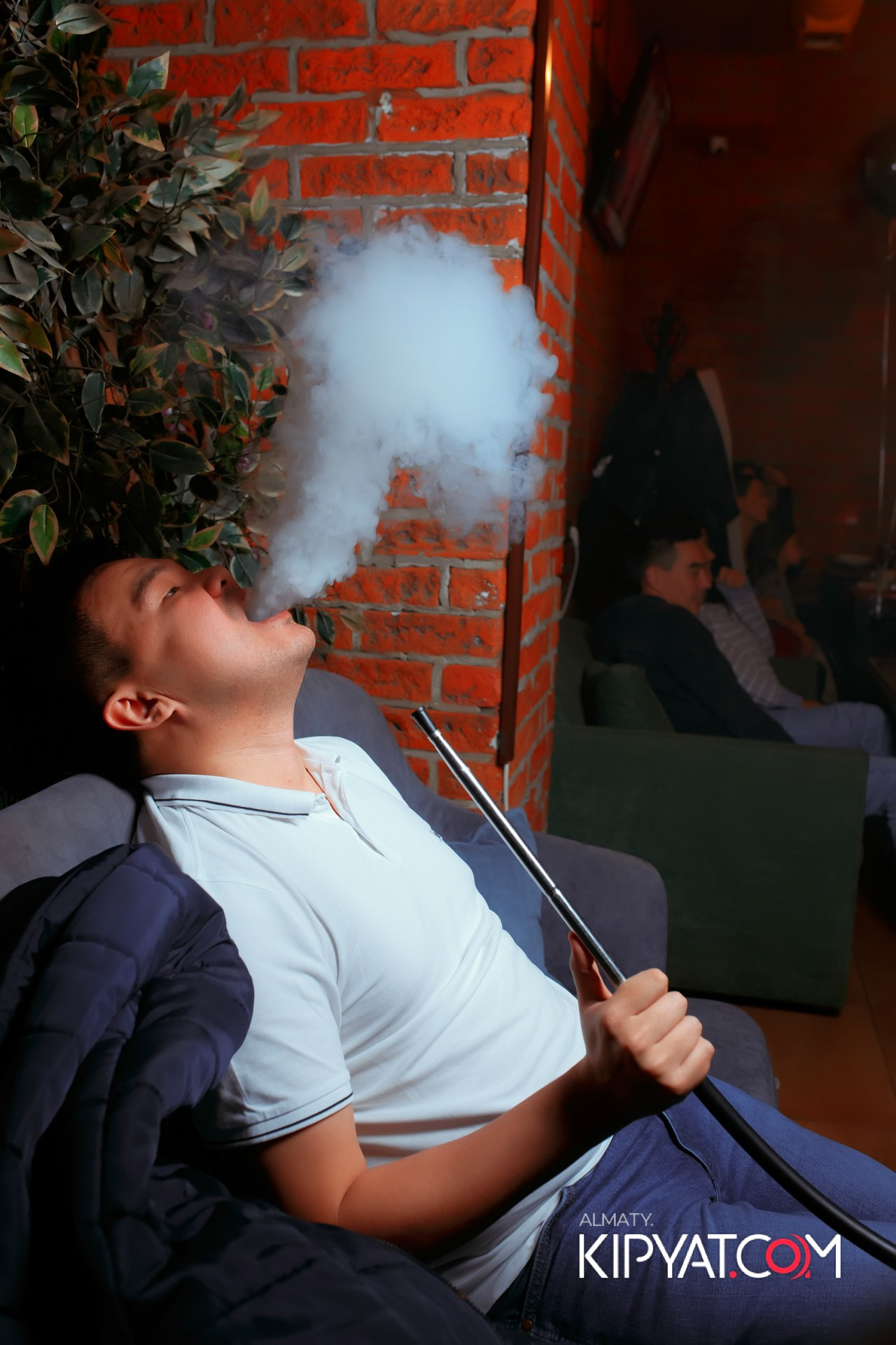 ШИШКА LOUNGE НА ЖИБЕК ЖОЛЫ. КИПЯТКОМ АЛМАТЫ!