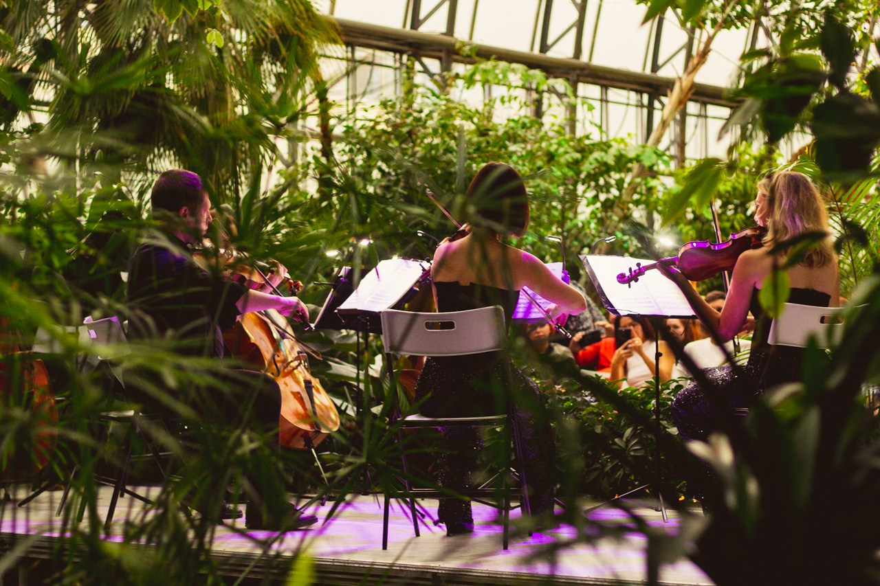 Petro Art — квартет в Таврическом саду (Рок Хиты). EvgenyCraft