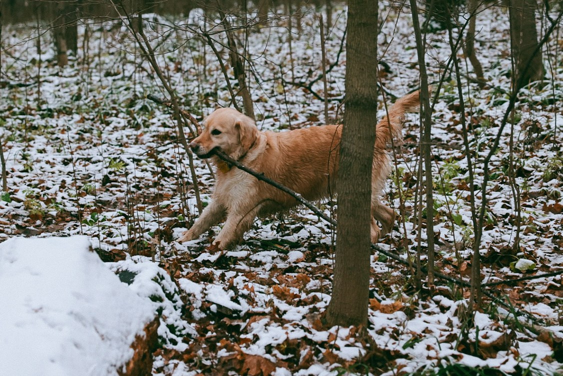 Family. Фотограф Нижний Новгород