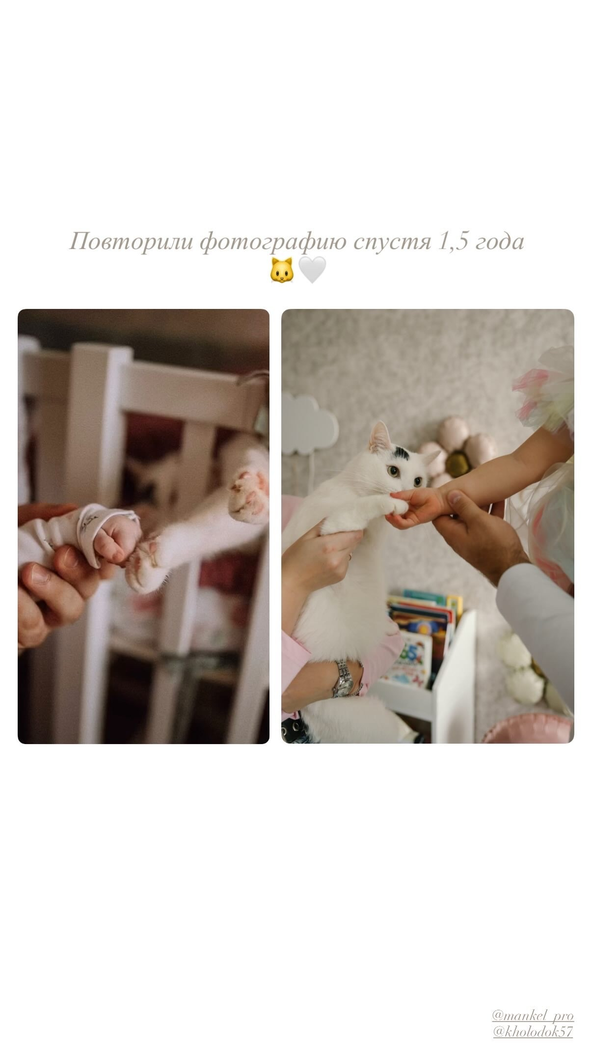 Семьи. Свадебный и семейный фотограф Анастасия Матвеева Москва | МО