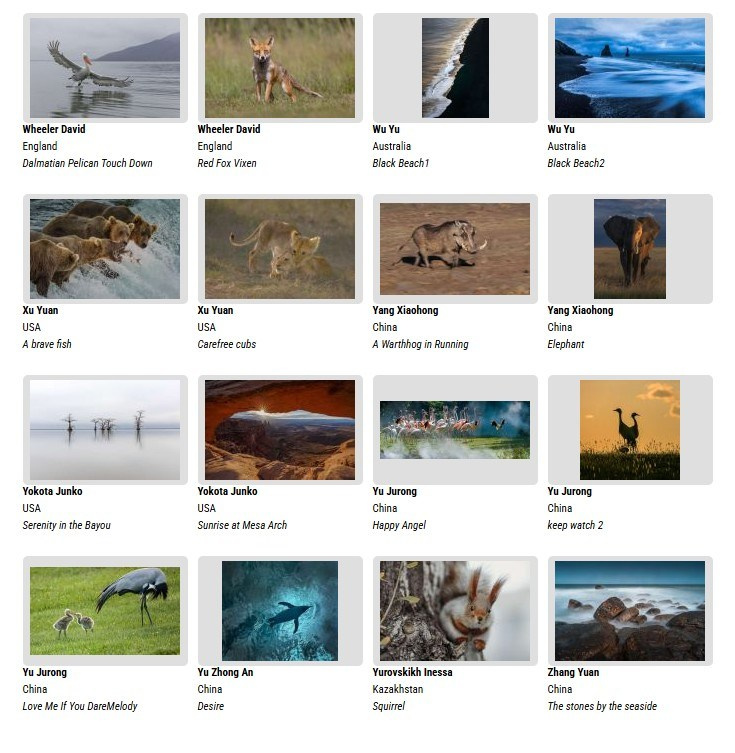 Выставки. Семейный и детский фотограф в Алматы Юровских Инесса