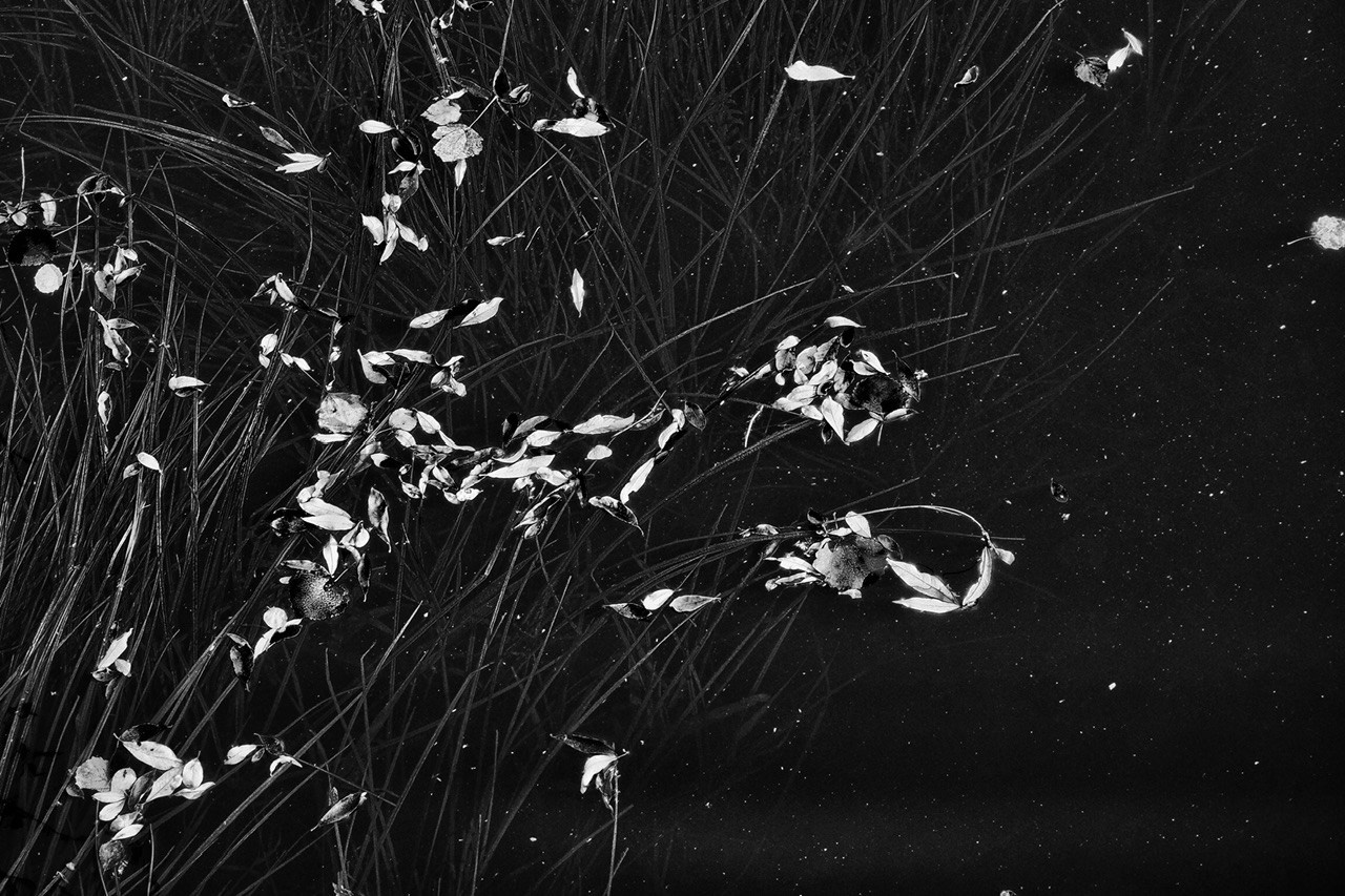 Реальная геометрия. Фотограф Евгений Андреев