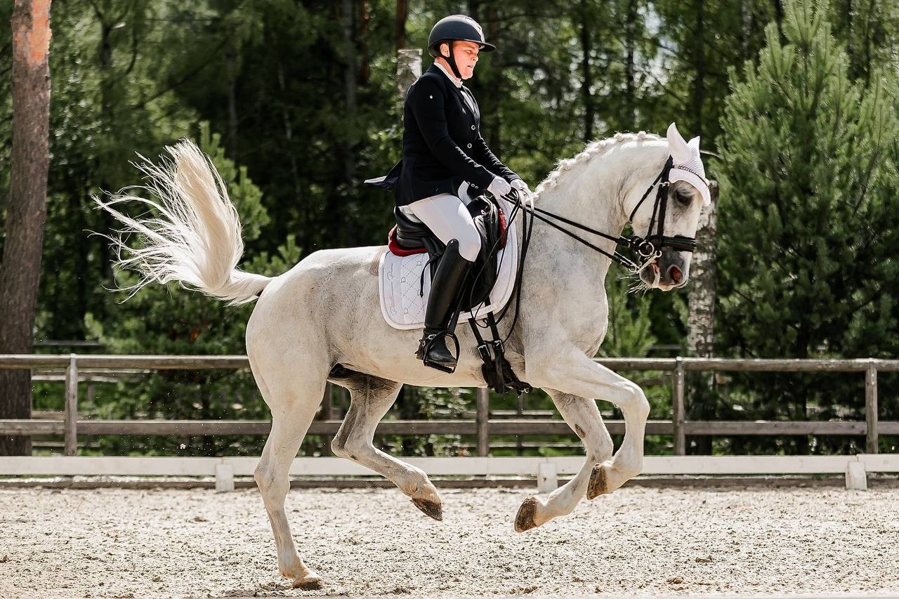 Четвертый этап КУБКА КСК «АЛМАЗОВО» по ВЫЕЗДКЕ. Конный фотограф Куракина Дарья • Фотосессии с лошадьми