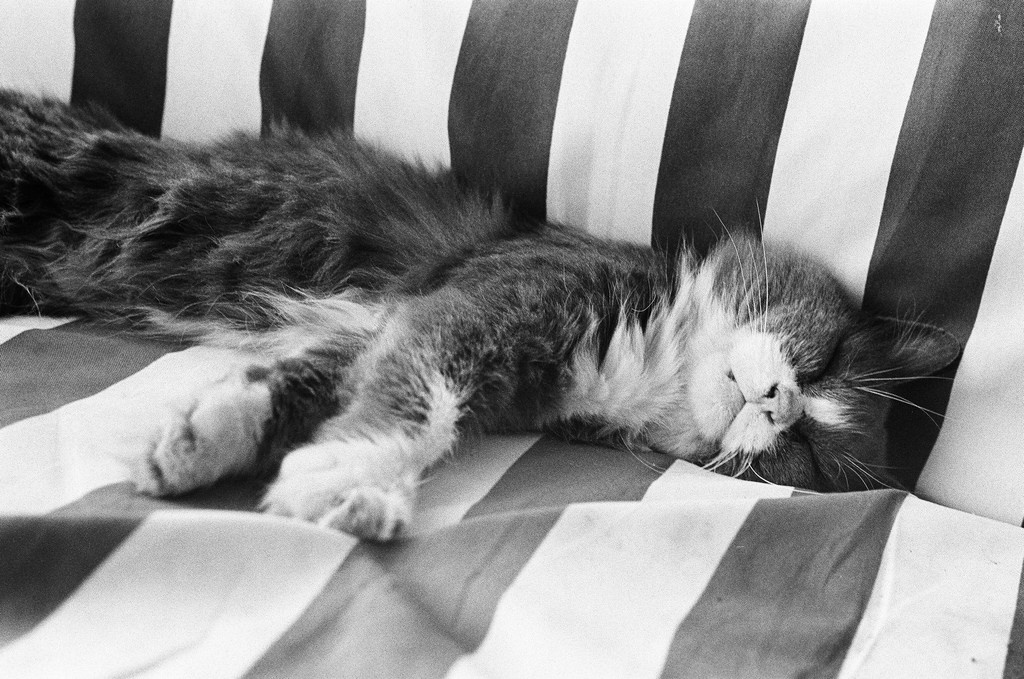 Welcome. Фото Стремского