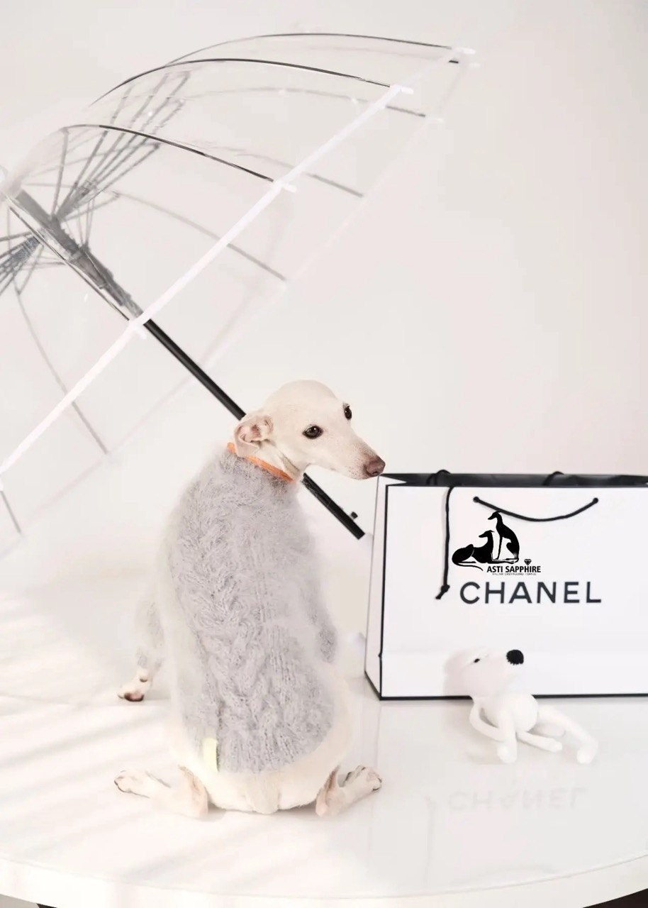 Одежда. Профессиональный питомник левреток РКФ/FCI ASTI SAPPHIRE 💎 Сочи|Санкт-Петербург