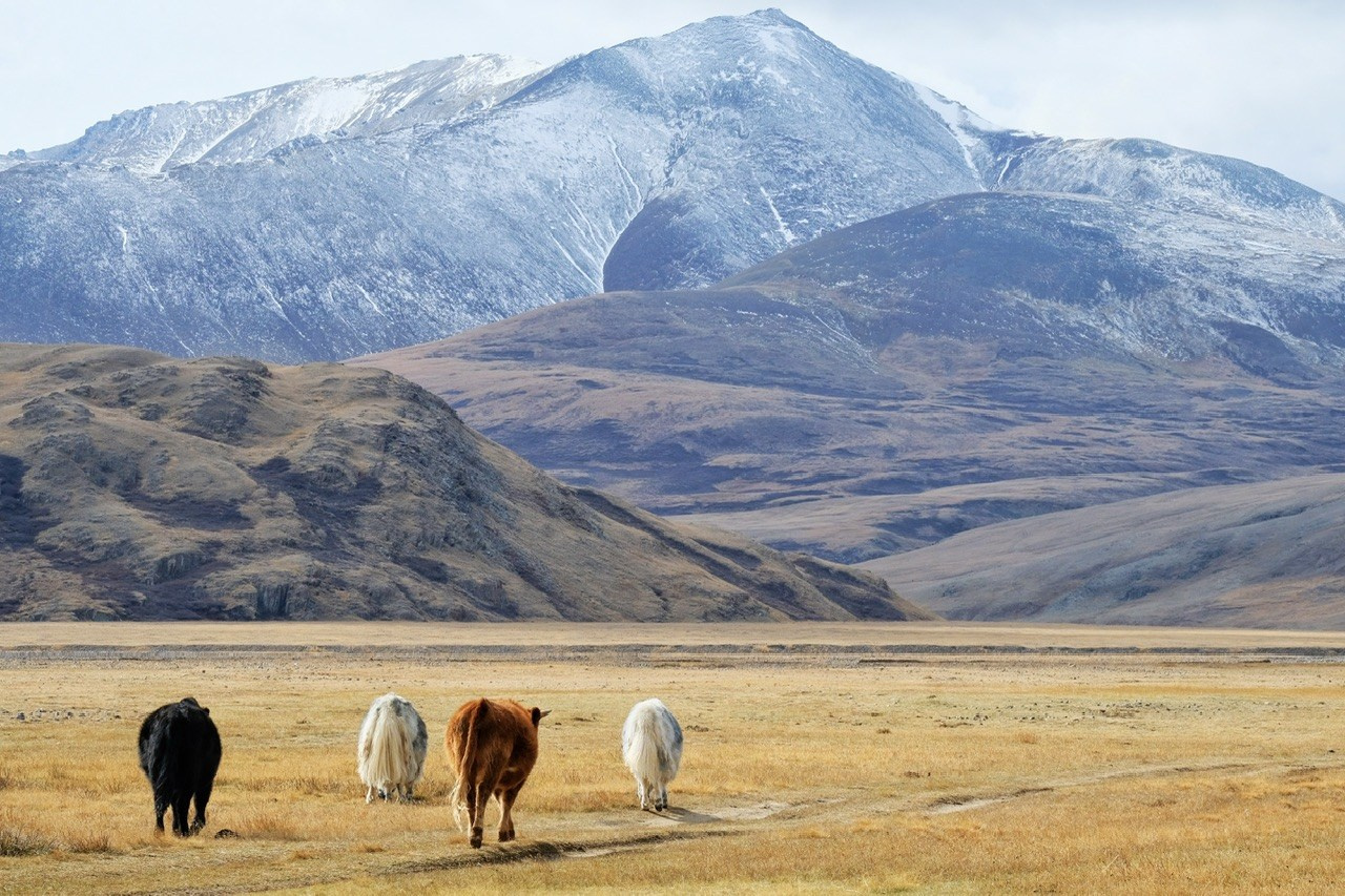 Алтай. Фотограф Евгений Андреев