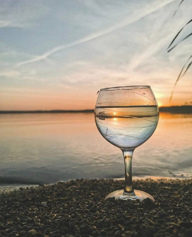 Интенсив «ТВОРИ ОСЕНЬ». Фотограф Светлана Анисимова обучение фото видео рилс