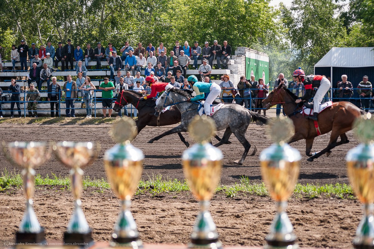 ВЗРОСЛЫЙ РЕПОРТАЖ. Приветствую! Меня зовут Александра, я занимаюсь репортажной и предметной съемкой в Красноярске