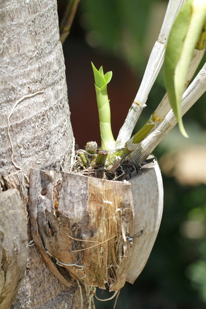 Тайланд 2014 г. Улица, люди, жизнь…