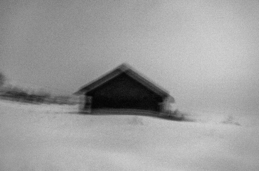 Summer Shore. Vitaly Severov