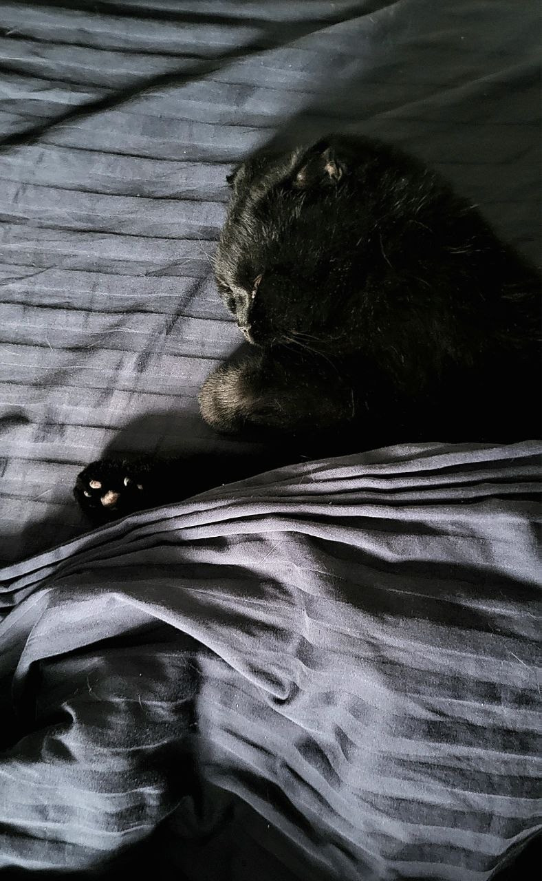 Проект «366»|2024|Фото каждый день. LENA GRACE photographer ||ЛЕНА ГРЭЙС фотограф