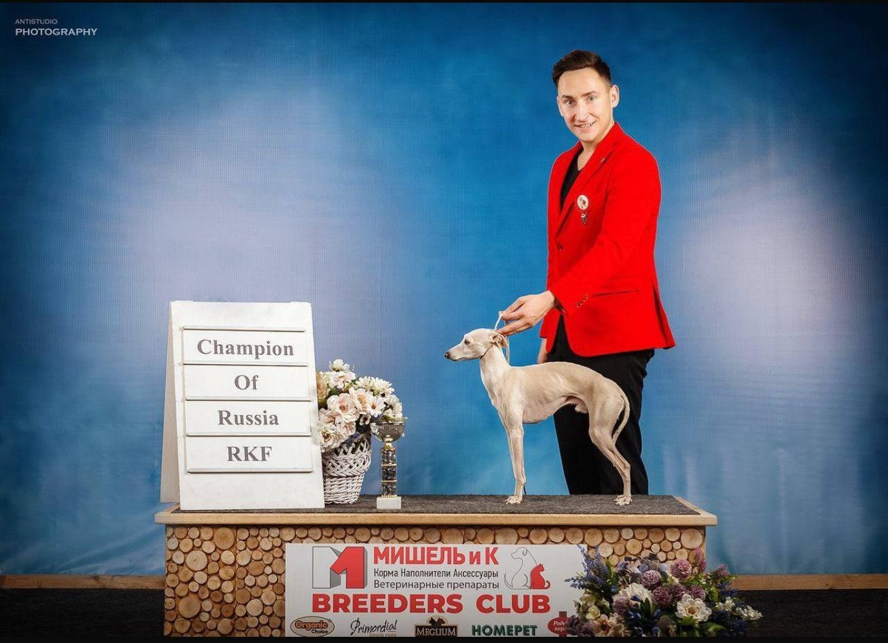 Jeremy & Jupiter. Профессиональный питомник левреток РКФ/FCI ASTI SAPPHIRE 💎 Сочи|Санкт-Петербург