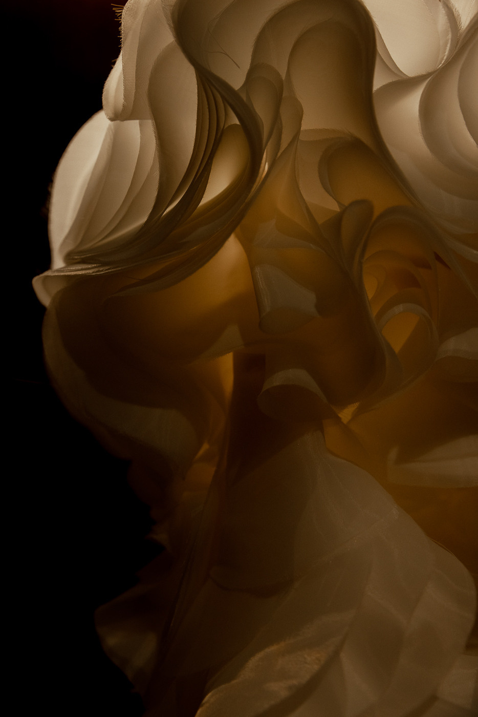 UNREAL. Свадебный фотограф Ярославль, Рыбинск