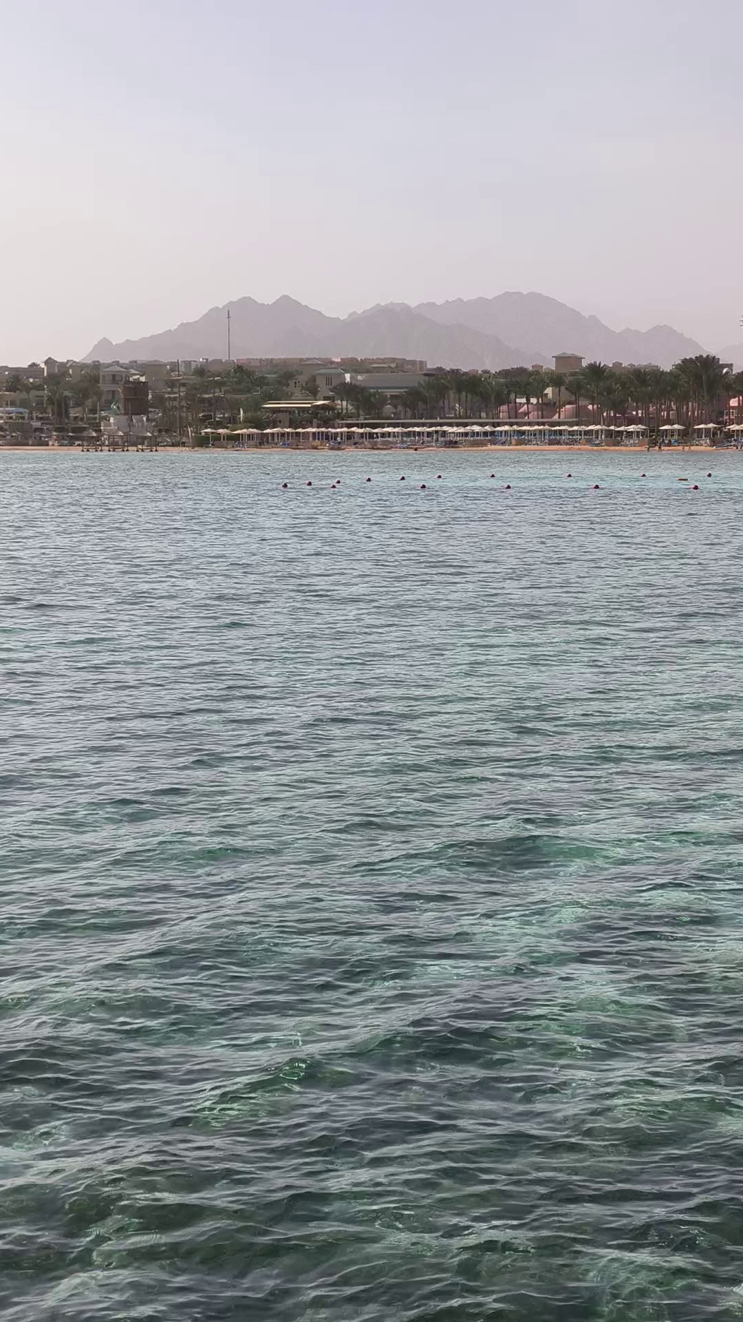 Шарм-Эль-Шейх. Светлана Иванова - профессиональный фотограф