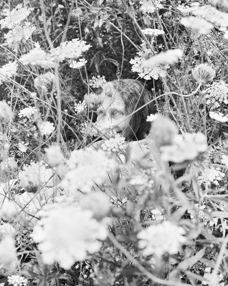 ФОТОКНИГА КАК ДИСЦИПЛИНА: (НЕ) СТРЕМИТЕЛЬНОЕ РАЗВИТИЕ. Самоорганизация Низина