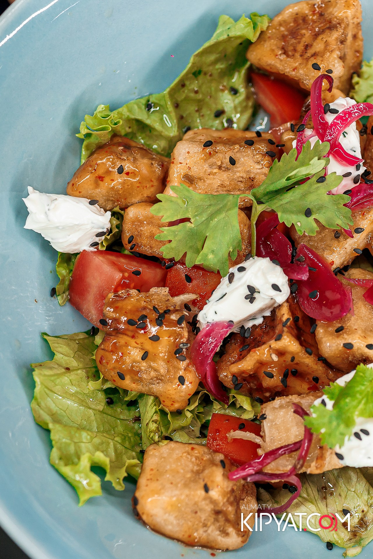 ШАШЛЫКОФФ. КИПЯТКОМ АЛМАТЫ!