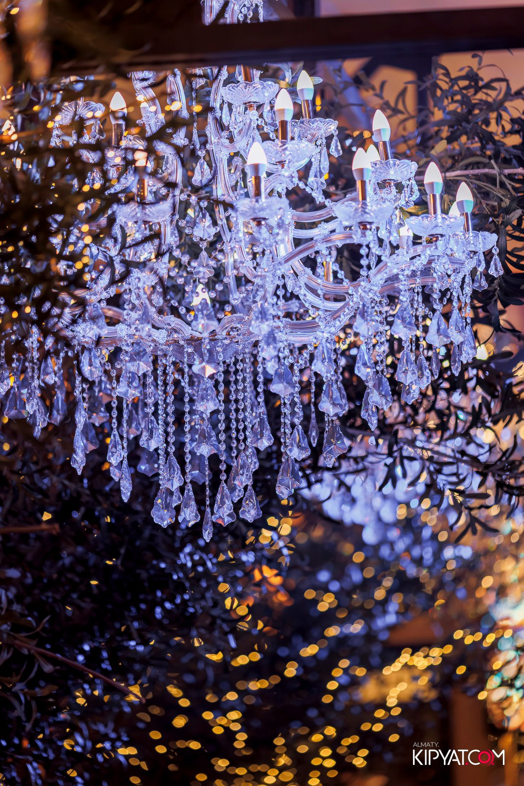 SAHARA ASIAN MIX RESTAURANT. КИПЯТКОМ АЛМАТЫ! Фотосъемка мероприятий в Алматы