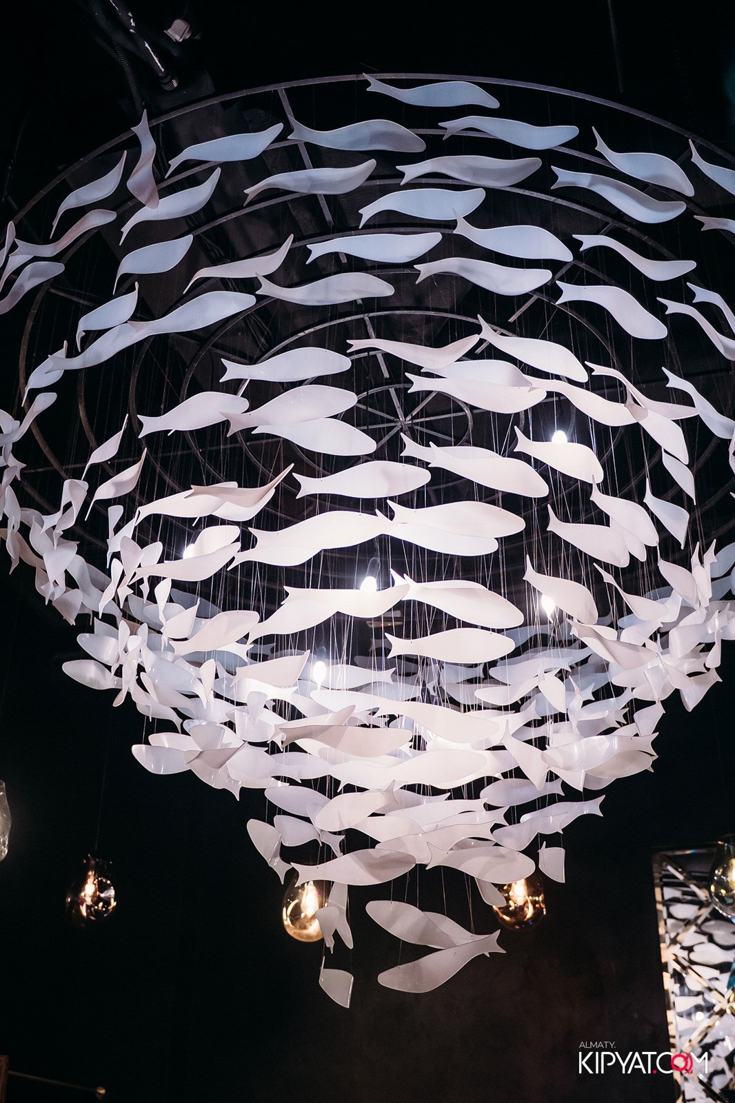 MOOD KARAOKE & TERRACE. КИПЯТКОМ АЛМАТЫ! Фотосъемка мероприятий в Алматы