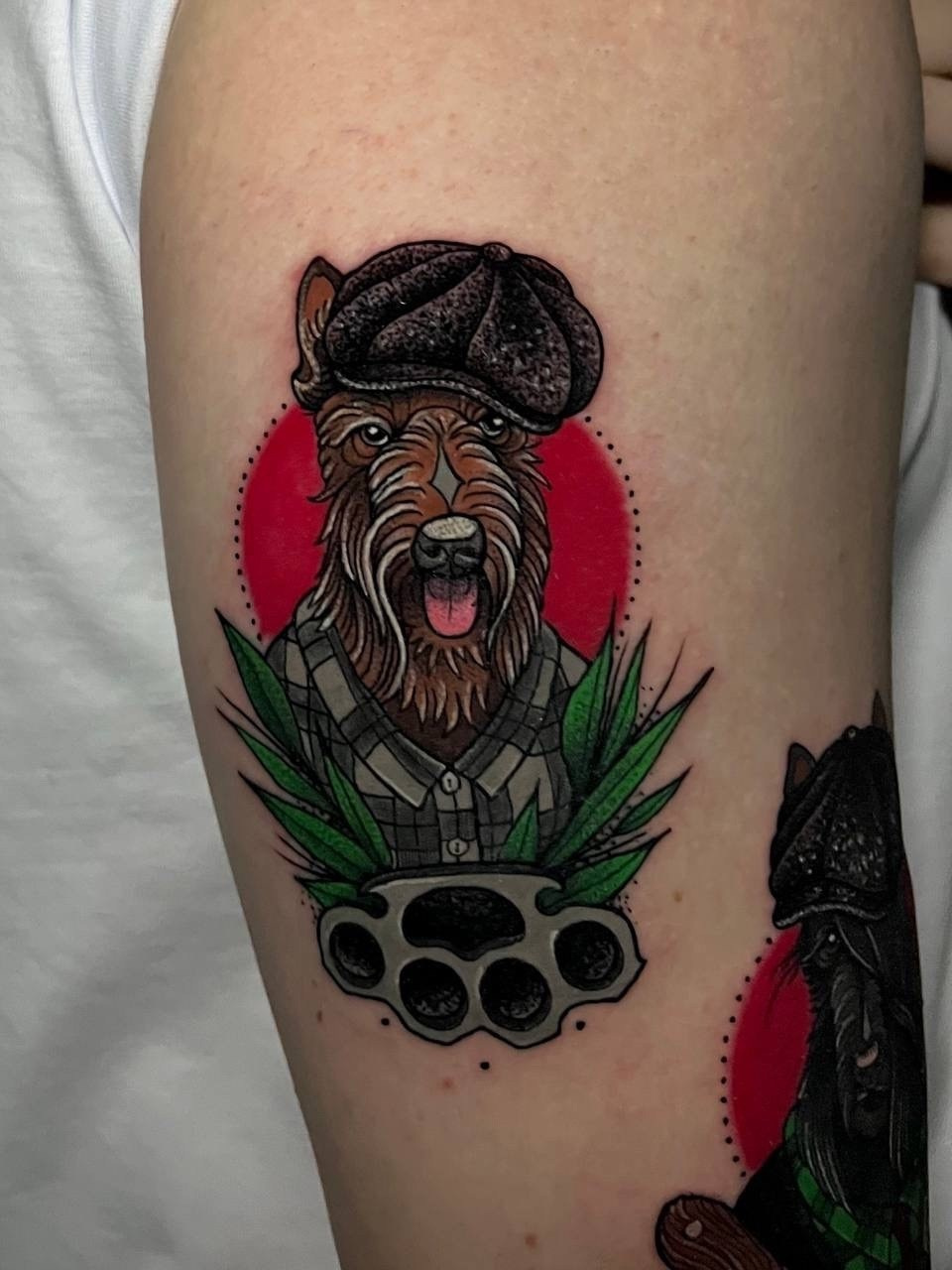 Работы Тимофея