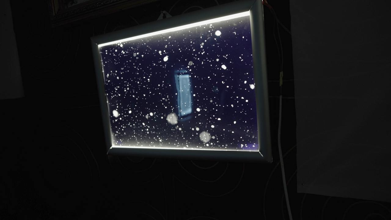 Цифровые тени слов, Чеченская республика