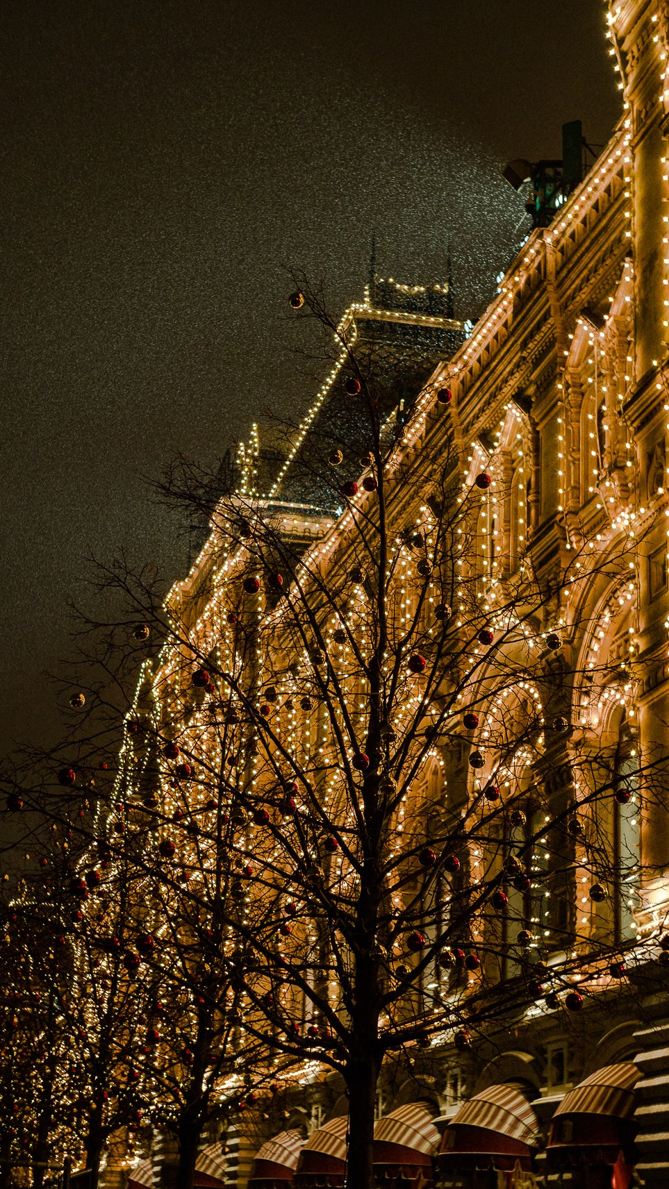 Москва. Ноябрь. 2024. Фотограф в Сочи Елена Лисотина. Фототуры в Сочи