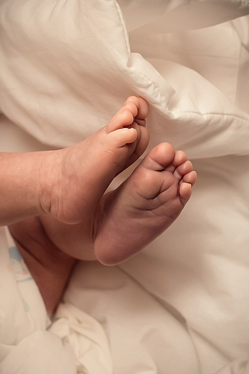 Крещение Артура