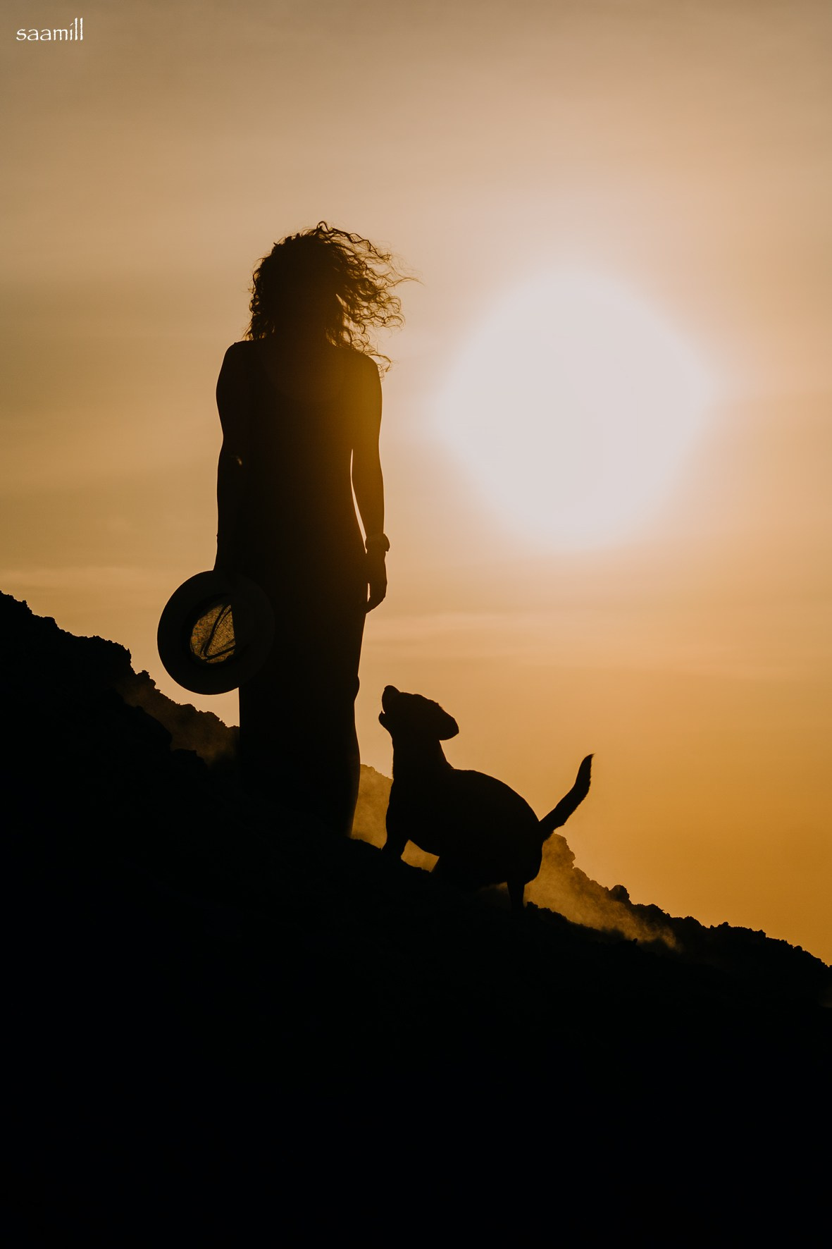 Life with dog. Saamill