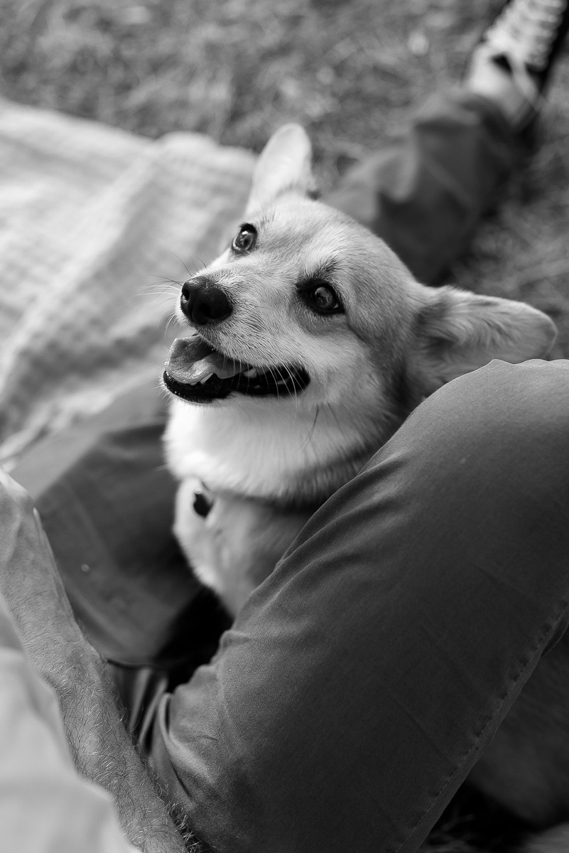 Family moments: Alexanrda, Aleksya & Poly. Family photographer in Israel | Alesya Superfin