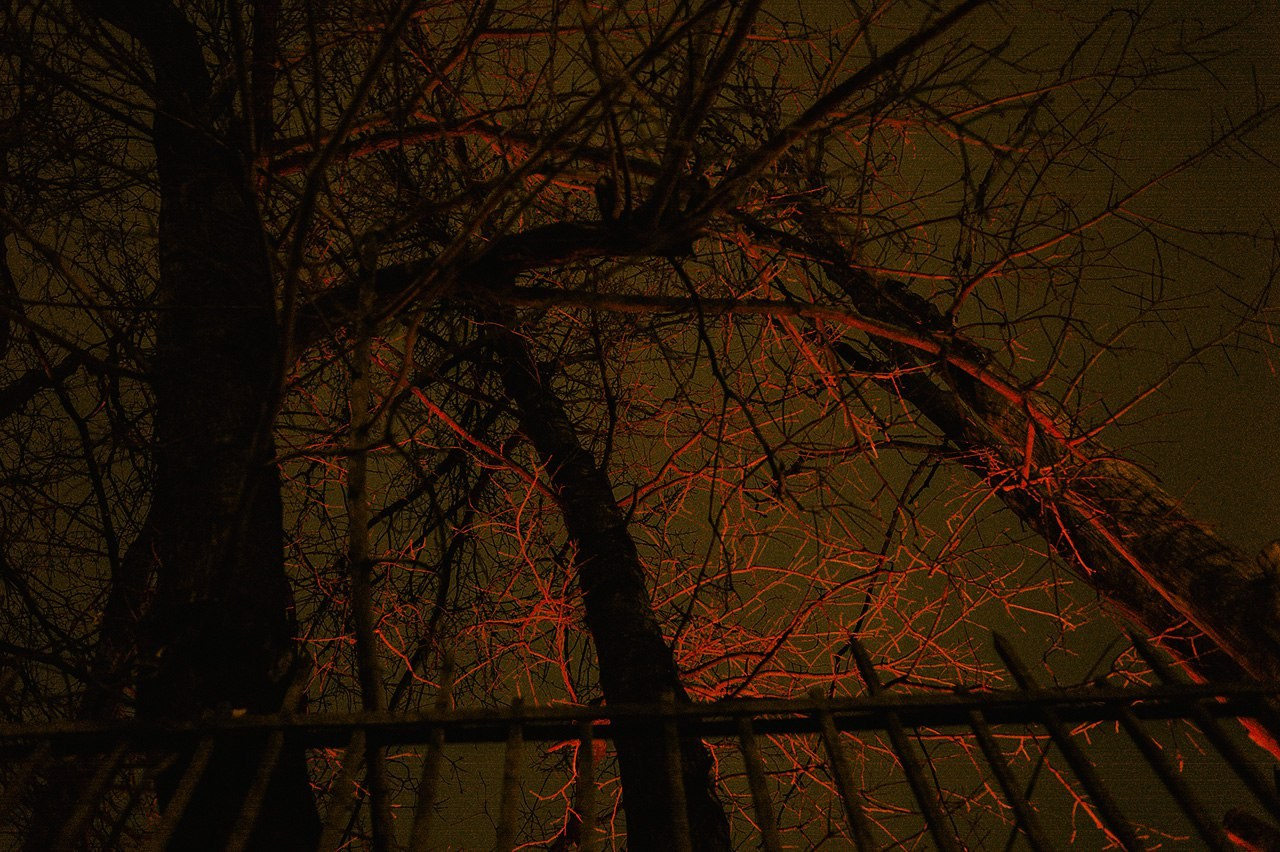 SaintP. night. Фотограф Cyberkyrie