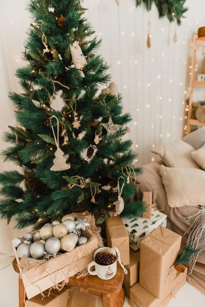 Фотосессия на циклораме или белом фоне. Фотограф Камчатка