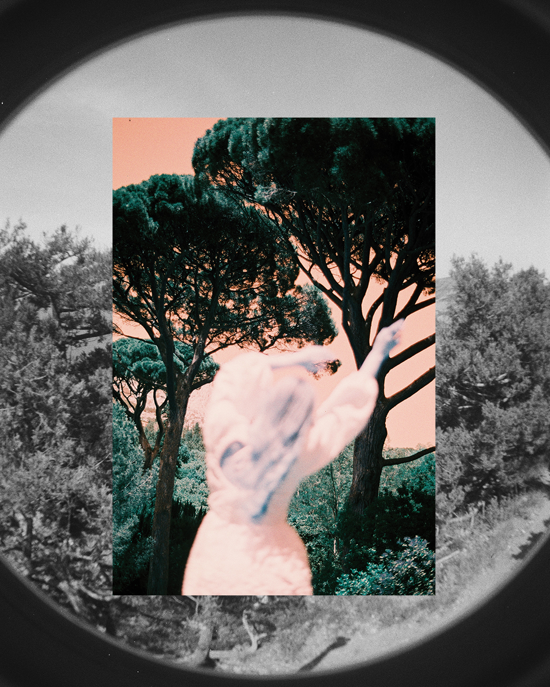 <K>. Плёночный фотограф Москва, Саша Звук