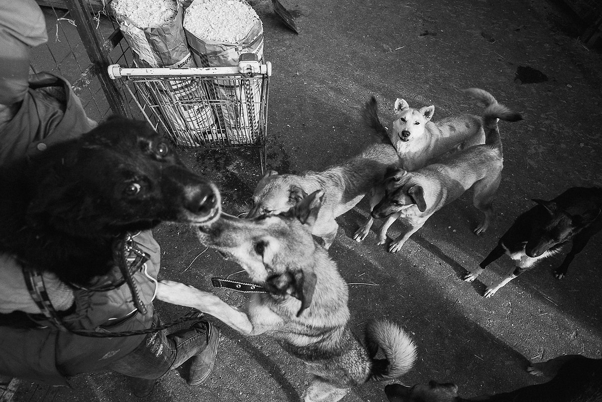 Синдром ожидания. Промышленная и репортажная фотография